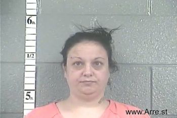 Cynthia Rose Ritter Mugshot