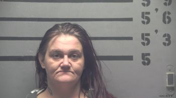 Cheryl  Brewer Mugshot