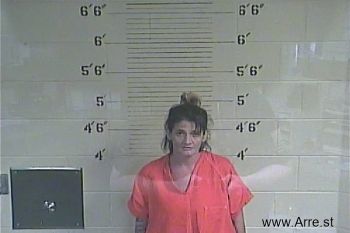 Christal L Johnson Mugshot