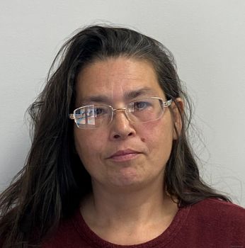 Cindy L King Mugshot