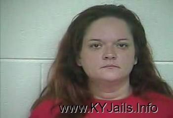 Cindy L Robinson   Mugshot