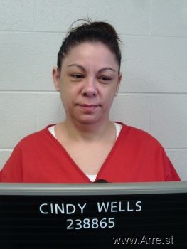 Cindy Kaye Wells Mugshot