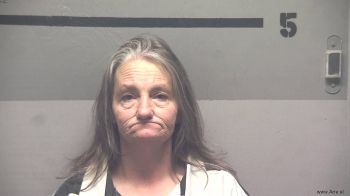 Connie  Hayes Mugshot