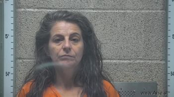 Dana Lynn Hallmark Mugshot