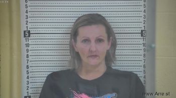 Danielle Jo Martin Mugshot