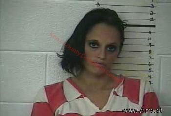 Danielle N Miller Mugshot