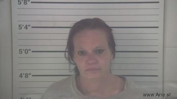 Danielle Lee Minshall Mugshot