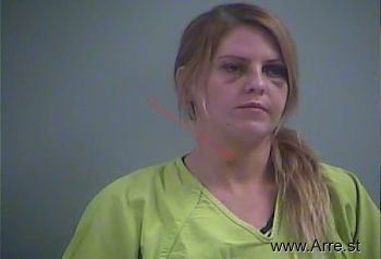 Danni L Burgin Mugshot