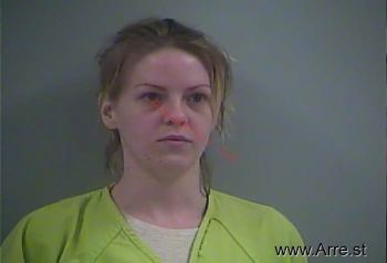 Danni L Burgin Mugshot