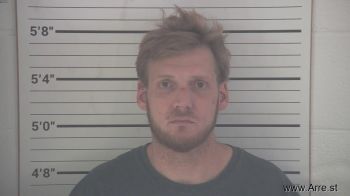 David Tyler Dressman Mugshot