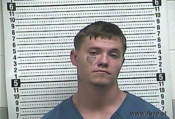 David Austin Lynn Mugshot