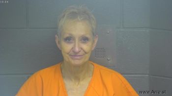 Dawn Renee Johnson Mugshot