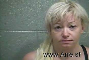 Dawn Ann Wilkins Mugshot