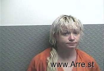 Dawn Ann Wilkins Mugshot