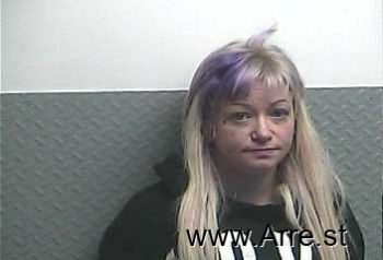 Dawn Ann Wilkins Mugshot