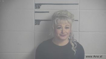 Dawn Ann Wilkins Mugshot