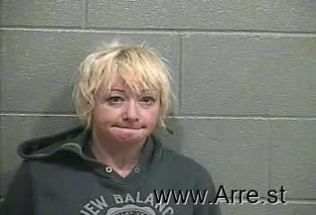 Dawn Ann Wilkins Mugshot