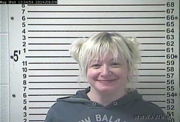 Dawn Ann Wilkins Mugshot