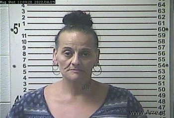 Deborah Lee Mitchell Mugshot