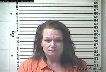 Deborah Lee Mitchell Medeiros Mugshot