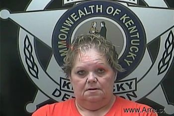 Debra L. Johnson Mugshot