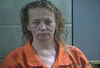 Debra S Smith Mugshot