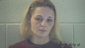 Delana Noel Collins Mugshot