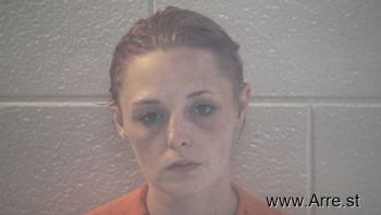 Delana Noel Collins Mugshot