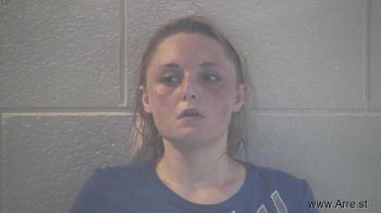 Delana Noel Collins Mugshot