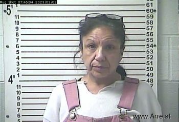 Denise Elizabeth Morehead Mugshot