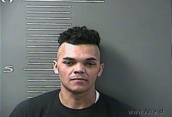 Devan  Blevins Mugshot