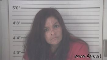 Diana Lynn Layne Mugshot