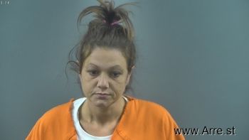 Diana Marie Lee Mugshot