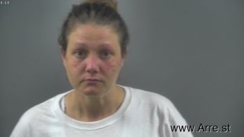 Diana Marie Lee Mugshot