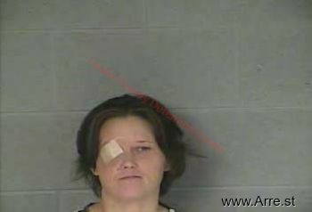 Diana  Price Mugshot