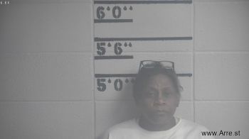 Diane L Johnson Mugshot