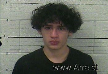 Diego  Sanchez Mugshot