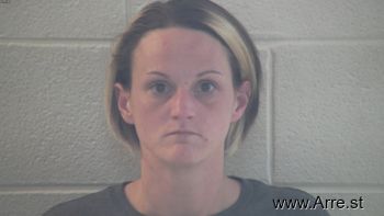 Donna Kaye Barnes Mugshot