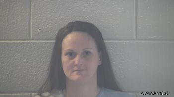 Donna Kaye Barnes Mugshot