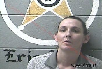 Donna Lynnlee Robinson Mugshot