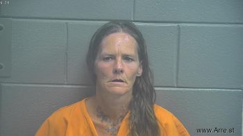 Donna Lee Scott Mugshot