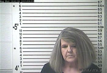 Donna Kaye Skaggs Mugshot