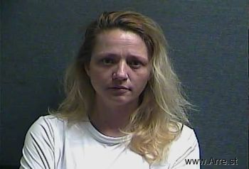 Danielle Nicole Landers Mugshot