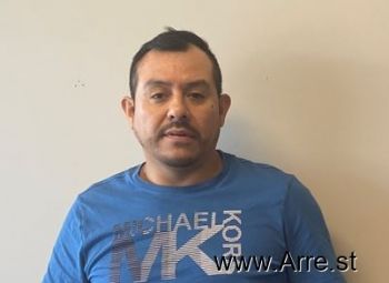 David  Ortega-pilares Mugshot