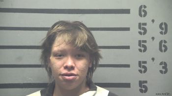 Destiny  Mullins Mugshot