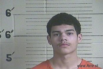 Devin M Johnson Mugshot