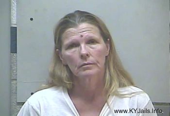 Donna Gail Higgison   Mugshot