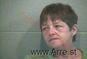 Donna Sue Santiago Mugshot