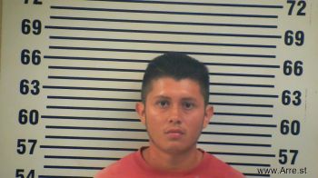 Eduardo Vladimil Nmn Perez Ruiz Mugshot