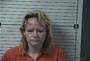 Elizabeth Amber Brown Mugshot